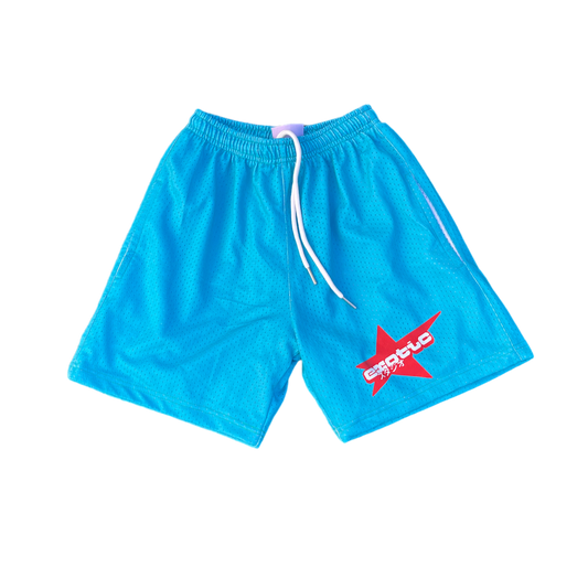Teal Candy Pack Mesh Shorts