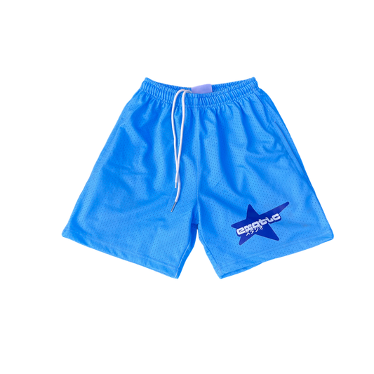 Blueberry Candy Pack Mesh Shorts