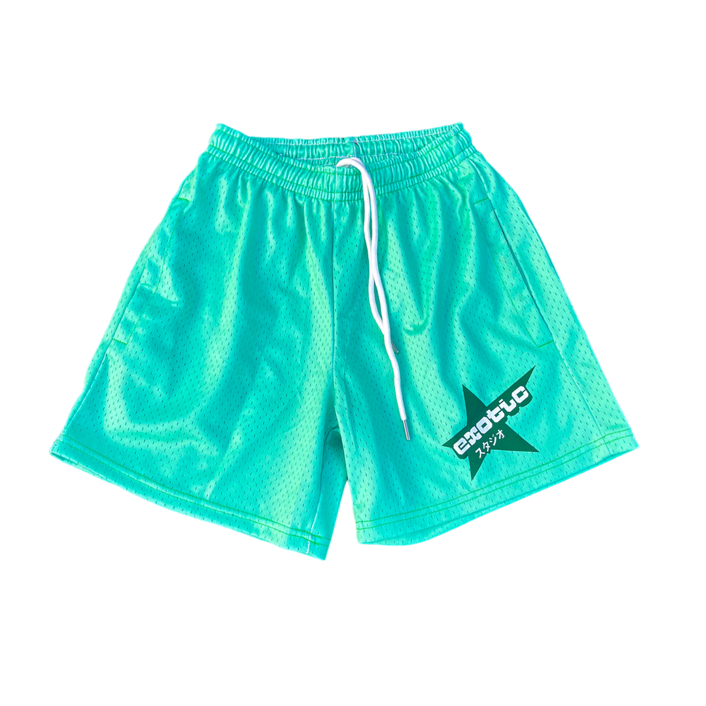 Mint Candy Pack Mesh Shorts