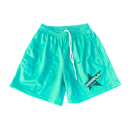 Mint Candy Pack Mesh Shorts